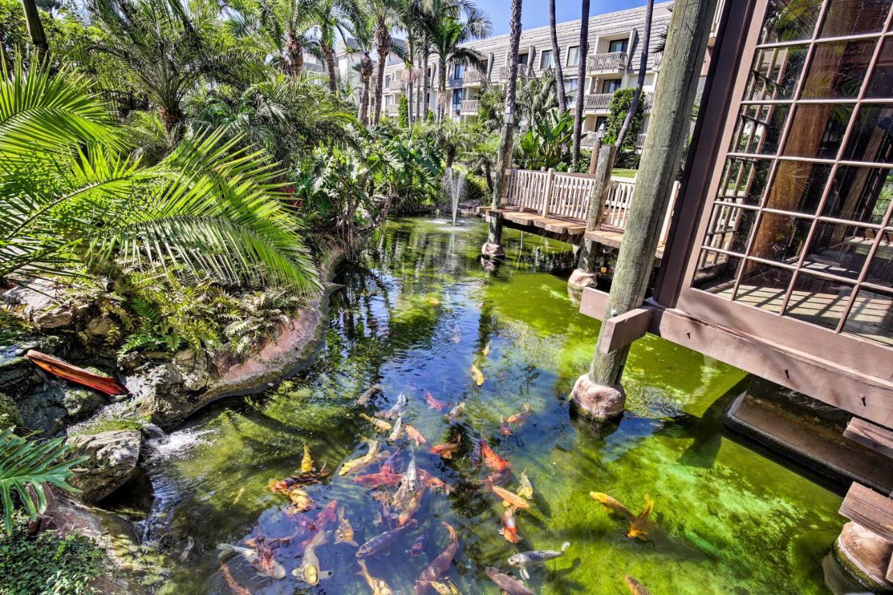 Beachfront Oceanside Condo With Pool And Hot Tub! Luaran gambar